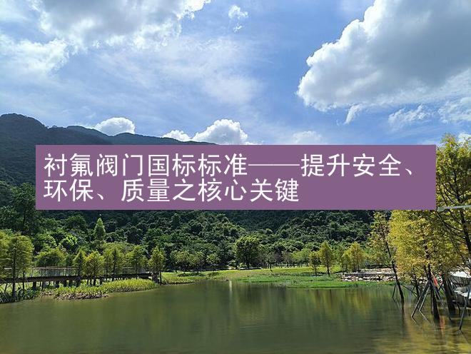 衬氟阀门国标标准——提升安全、环保、质量之核心关键